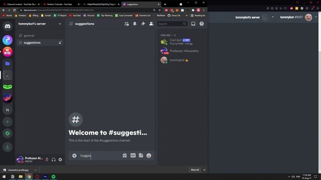 Setup Suggestions on Discord using Carl Bot смотреть онлайн