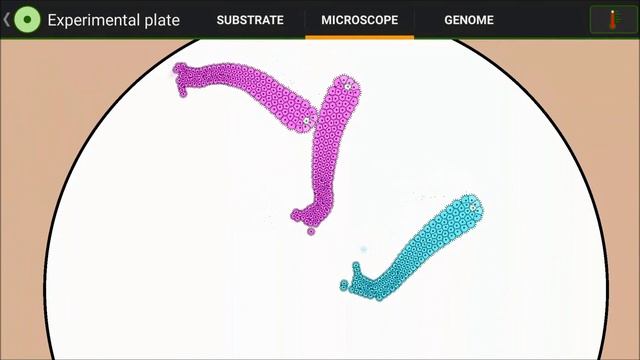Cell Lab: Viro-worm Color War смотреть онлайн