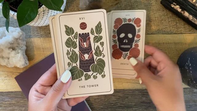 My May Decks: Collection & Reflections #lumeriastartarotedit смотреть онлайн