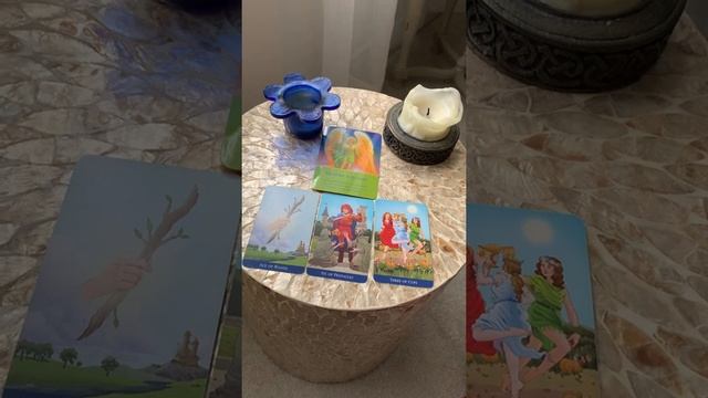 Daily Tarot & Angel Oracle Card Reading for All Signs смотреть онлайн