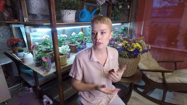 КАКИЕ ЦВЕТЫ ПОСЕЯТЬ В НОЯБРЕ. смотреть онлайн
