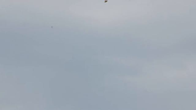 Полёт интересной авиамодели с ДВС "WILD DUCK" смотреть онлайн
