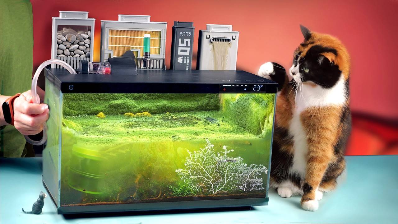 Аквариум из будущего - 240 дней спустя