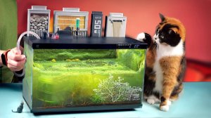 Аквариум из будущего - 240 дней спустя