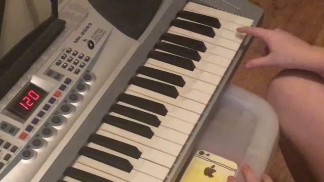 8 Yr Old Brother Plays Electric Organ смотреть онлайн