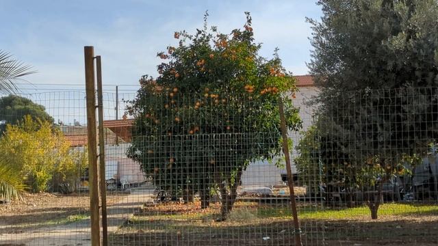 Google Pixel 6 прогулка с камерой 4K\60fps 2 смотреть онлайн