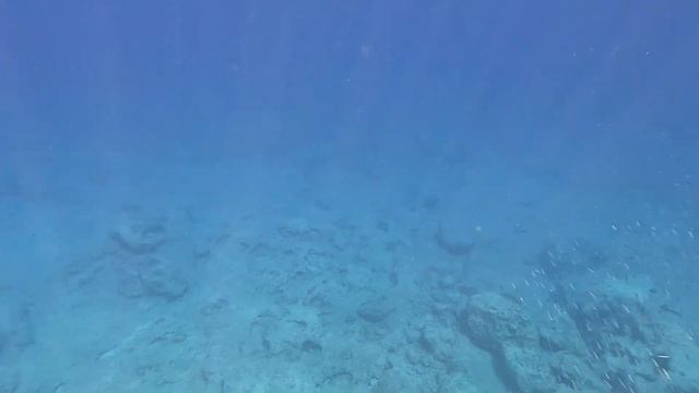 Подводный мир. Cape Greco, Cyprus. 4K смотреть онлайн