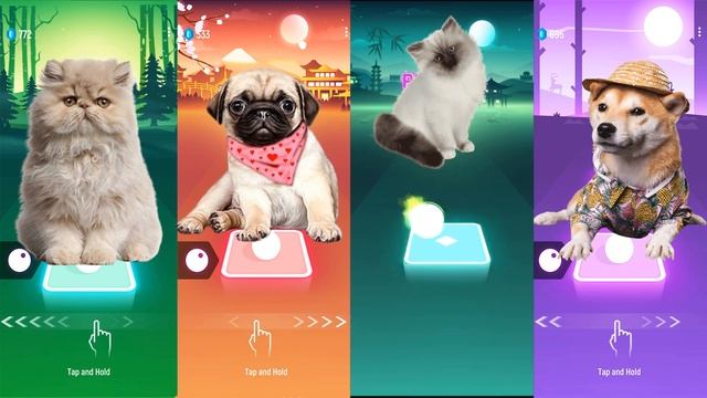 CUTE DOGS VS CATS | BLOODY MARY VS WAKA WAKA | TILES HOP EDM RUSH смотреть онлайн