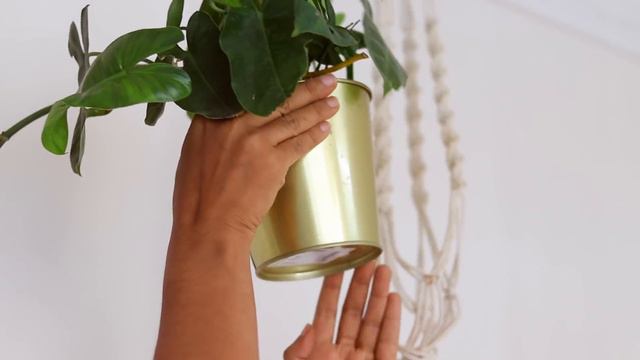 Propagate Indoor plant cuttings in water with me| Garden Up смотреть онлайн