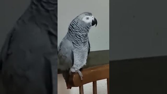 Наш большой " стих"! смотреть онлайн