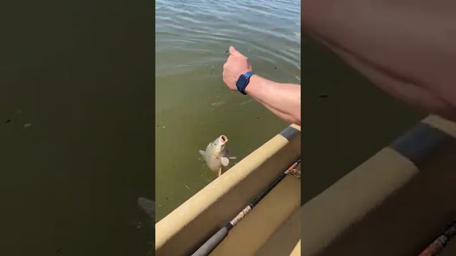 Рыбалка в Астрахани весна 2022 смотреть онлайн