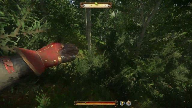 Bonum Commune - Treasure Hunt - Kingdom Come: Deliverance Walkthrough A Woman's Lot Part 57