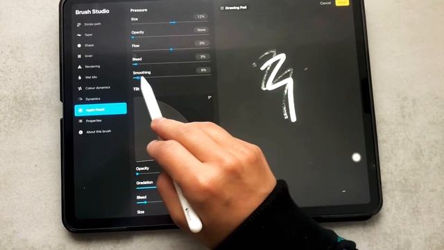 Procreate Problem |  Some Brushes Work With Apple Pencil, Others Only With Fingers | SOLVED ✔️