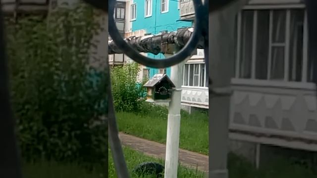 дом для воробьев смотреть онлайн