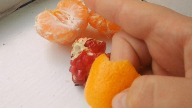 МОЖНО ЛИ ХОМЯКУ ГРИБЫ? Да или Нет? Hamster | часть #2 смотреть онлайн