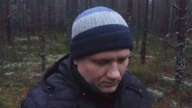 №10 Гармонизация вертикальных потоков смотреть онлайн