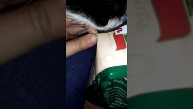 Корм для моего хомки смотреть онлайн