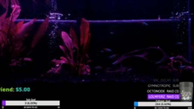 Chill Aquarium Day 17 смотреть онлайн