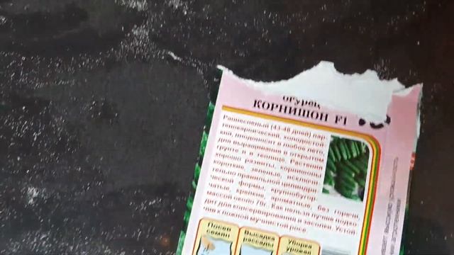 3 сорта огурцов которые завалили урожаем в 2022 году. Обязательно посажу их вновь. смотреть онлайн