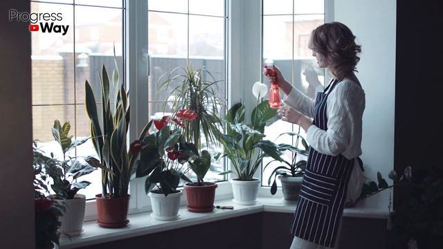 ДАЖЕ САМЫЕ СТАРЫЕ ЦВЕТЫ В Старой И Пустой Земле Или Хилые Оживают И Цветут! смотреть онлайн