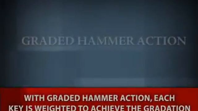 Mastery of Feel - Graded Hammer Action смотреть онлайн
