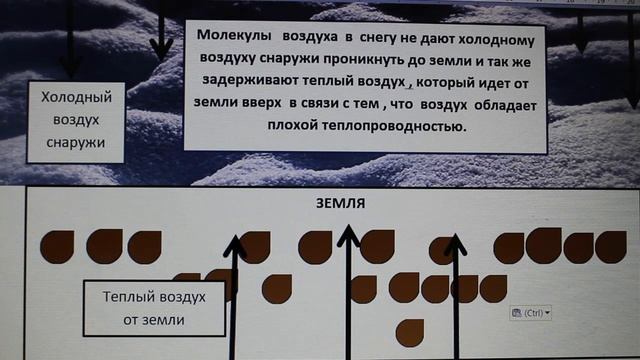 Физика 8 кл(2019г)Пер §4 Упр 3 № 1.Почему глубокий рыхлый снег предохраняет озимые хлеба от вымерзан смотреть онлайн
