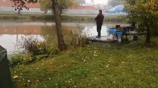 Светлые Горы Форель3 01.10.2022г. смотреть онлайн