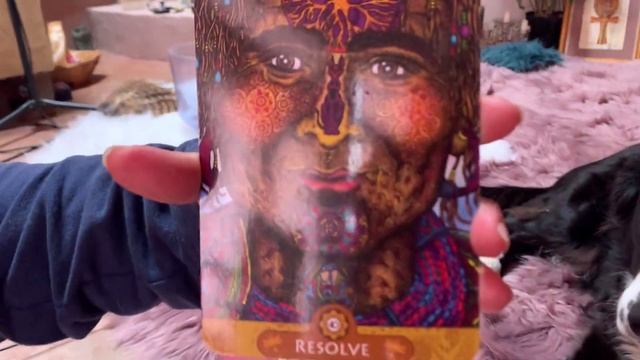 Luna Oracle 3-9-21 Card#40 Resolve смотреть онлайн