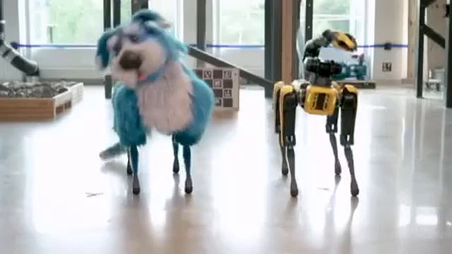 Робо собака