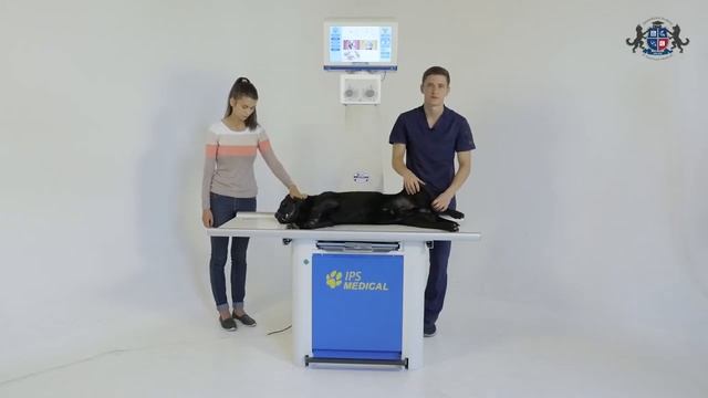 Урок 22. Укладка животного при рентгенографии пояса задних конечностей. Пальцы, стопы смотреть онлайн