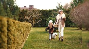 Бишон Фризе. Плюсы и минусы, Цена, Как выбрать, Факты, Уход, История