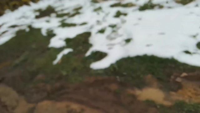 мы на даче что с мимозой очень холодно смотреть онлайн