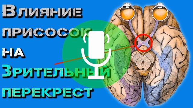 Влияние присосок от тёмных на зрительный перекрест смотреть онлайн