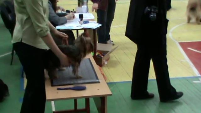 Хозяйка на выставке Лидер Тула 2012 смотреть онлайн
