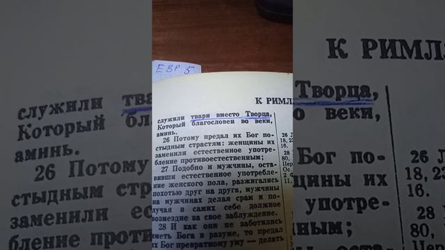 Грядущий царь.Суд смотреть онлайн