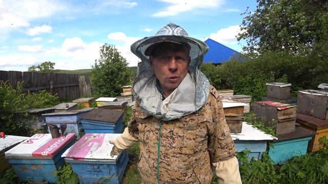 СОРЕВНОВАНИЕ ПО ЛОВЛЕ БРОДЯЧИХ РОЁВ, РОЙ №9 И №10, ТАКИХ ВЫ ЕЩЁ ТОЧНО НЕ ВИДЕЛИ! смотреть онлайн