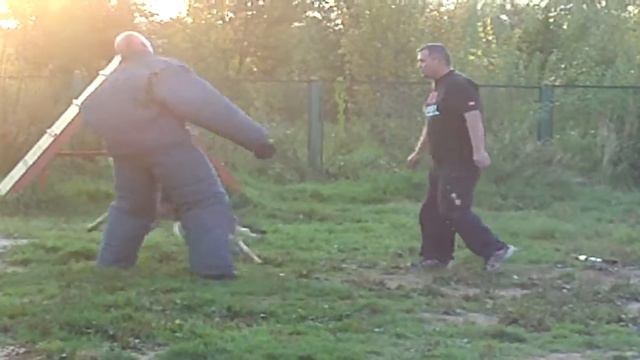 Восточно-европейская овчарка. Задержание. смотреть онлайн