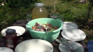 Лечебно-витаминная подкормка для птицы, готовим на даче.