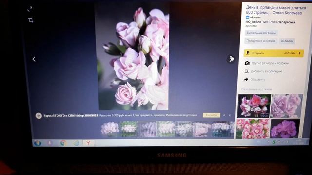 ПЕЛАРГОНИЯ - ЭУСТОМА?/НОВИНКИ СОРТОВЫХ ПЕЛАРГОНИЙ/БЕРУ ОТПУСК ОТ ЮТУБА?НЕ СКУЧАЙТЕ? смотреть онлайн