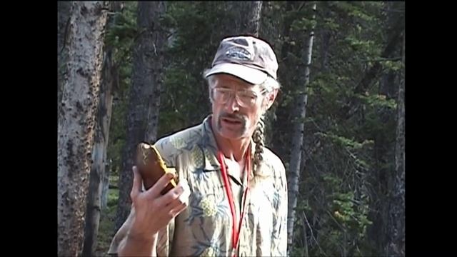 Bolete Polka смотреть онлайн