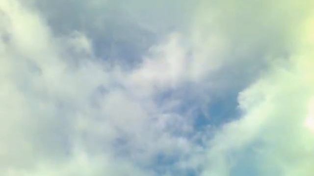 Миньяр цветение черемухи видео снято 18.05.15г. смотреть онлайн