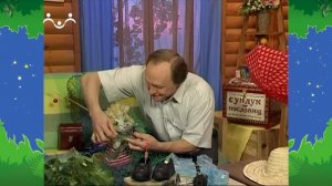 Вечер в Шишкином Лесу. Сундук пословиц. Сани