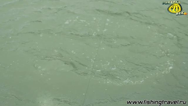 На рыбалку вместе с папой. Казахстан. Ловля в Дельте Реки Или. Часть 1 смотреть онлайн