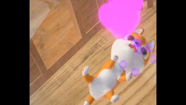 Pocket Pets Introduction