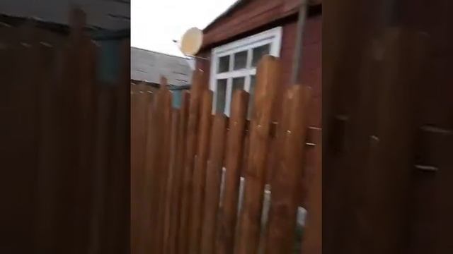 Забор-деревянный штакетник смотреть онлайн