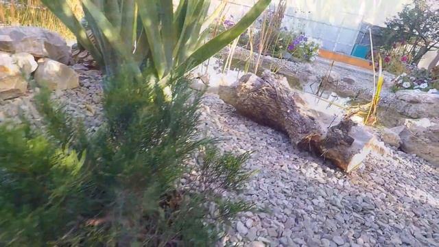 Делаем альпийскую горку / Удобряем весной газон / Трамбовка участка катком / Часть 6 (весна 2021) смотреть онлайн