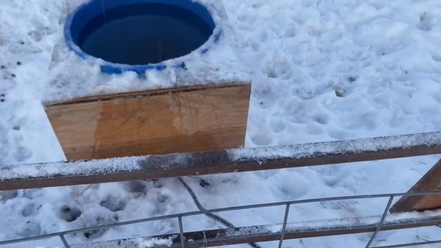 #99 Ферма северных оленей. Аляска