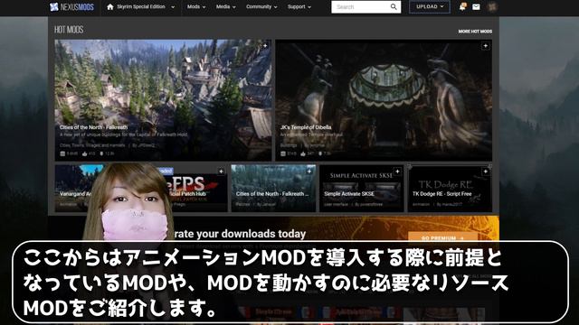 【SkyrimSE】『Nemesisの導入と使い方など』 2021年版！TES6まで遊べるMOD環境の導入・設定：15