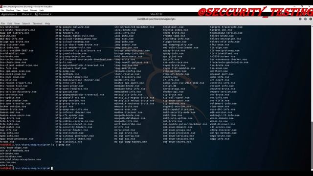 019 Использование скриптов Nmap 1