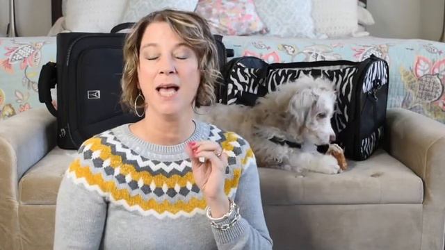 How to Fly With Your Dog (or Cat) смотреть онлайн